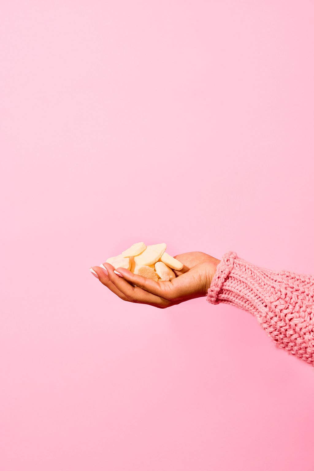 APPLE CRUNCH - FREEZE-DRIED APPLE SLICES (20g)