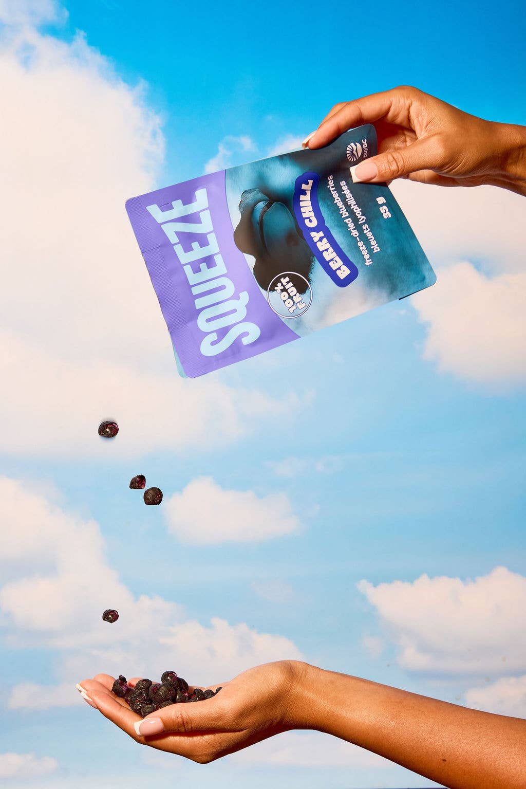 BERRY CHILL - SQUEEZE FREEZE-DRIED BLUEBERRIES (35g)